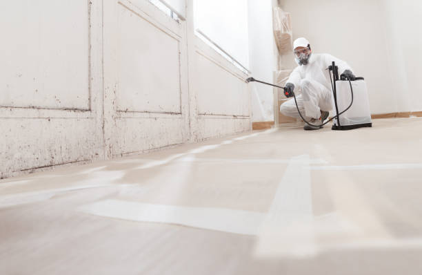 24/7 Emergency Mold Cleanup experts in Seminole, TX